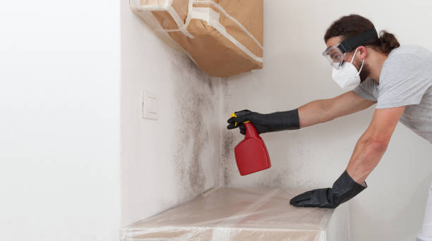 Professional Bathroom Mold Removal technician working in Stafford, TX